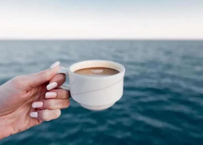 Philip By Alezzii Nord 10 * Navodari